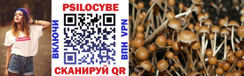 где можно купить наркотик  mega сайт  Галлюциногенные грибы Psilocybine cubensis  Электрогорск 